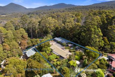 House For Sale - TAS - Adventure Bay - 7150 - 'Blackwood' - A Tranquil Retreat in the Heart of Adventure Bay  (Image 2)