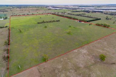 Mixed Farming For Sale - VIC - Perry Bridge - 3862 - 49.5 HECTARES (122 ACRES APPROX.) 15 MINUTES FROM THE CITY OF SALE  (Image 2)