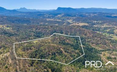 Lifestyle For Sale - NSW - Homeleigh - 2474 - Top of Cawongla  (Image 2)