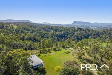 House For Sale - NSW - Kyogle - 2474 - Top of Cawongla  (Image 2)