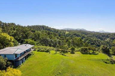 House For Sale - NSW - Kyogle - 2474 - Top of Cawongla (Image 2)