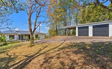 House For Sale - NSW - Kyogle - 2474 - Top of Cawongla  (Image 2)