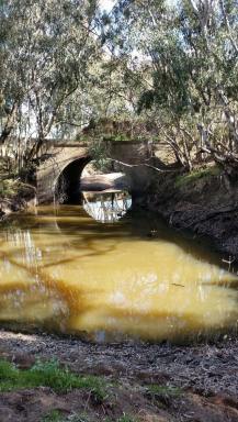 Mixed Farming Sold - NSW - Cootamundra - 2590 - END OF AN ERA AFTER 65* YEARS  (Image 2)