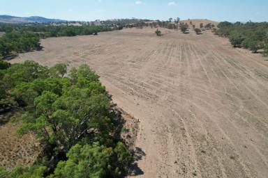 Mixed Farming For Sale - NSW - Cootamundra - 2590 - END OF AN ERA AFTER 65* YEARS  (Image 2)