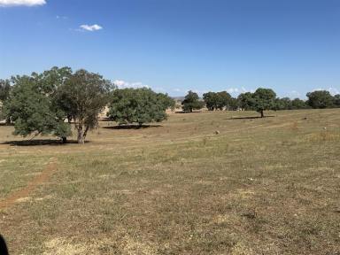 Mixed Farming For Sale - NSW - Cootamundra - 2590 - END OF AN ERA AFTER 65* YEARS  (Image 2)