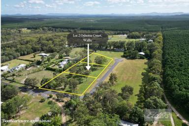 Residential Block For Sale - QLD - Wallu - 4570 - Rare As Hens Teeth!  (Image 2)