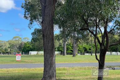 Residential Block For Sale - QLD - Wallu - 4570 - 1 ACRE LOTS - UNDER $500,000! 10 mins Bay, 20 mins Beach.  (Image 2)