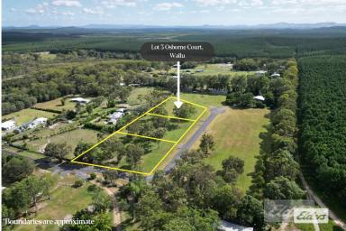 Residential Block For Sale - QLD - Wallu - 4570 - BIG 4 brm Brick Home with Ducted Air and 1 acre!  (Image 2)