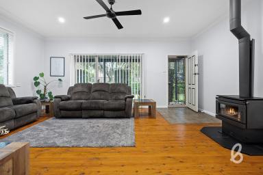 House For Sale - NSW - Branxton - 2335 - Three bedrooms sitting on a huge 1,174m2 block  (Image 2)