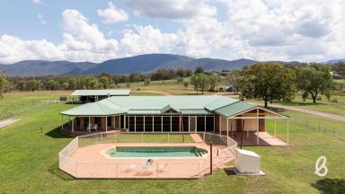 Other (Rural) For Sale - NSW - Singleton - 2330 - RURAL BEAUTY | LARGE FAMILY HOME  (Image 2)