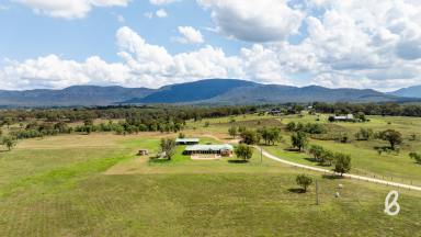 Other (Rural) For Sale - NSW - Singleton - 2330 - RURAL BEAUTY | LARGE FAMILY HOME  (Image 2)