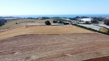 Mixed Farming For Sale - TAS - Sulphur Creek - 7316 - Prime Agricultural Land on the Coast  (Image 2)