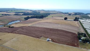 Mixed Farming For Sale - TAS - Sulphur Creek - 7316 - Prime Agricultural Land on the Coast  (Image 2)