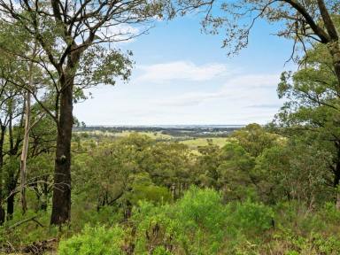 House For Sale - VIC - Nicholson - 3882 - QUALITY FAMILY HOME OFFERING MAGNIFICENT VIEWS  (Image 2)