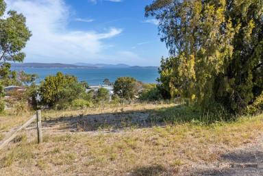 Residential Block For Sale - TAS - Primrose Sands - 7173 - Coastal Bliss Awaits – Build Your Dream Home with Stunning Bay Views!  (Image 2)