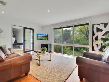 House For Sale - NSW - Young - 2594 - Private Leafy Setting In A Desirable Location  (Image 2)