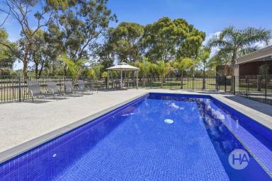 Acreage/Semi-rural For Sale - VIC - Tyabb - 3913 - Expansive Homestead Minutes from Town Centre  (Image 2)