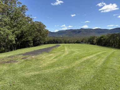 Residential Block For Sale - NSW - Kangaroo Valley - 2577 - Secluded 36 Acres in KANGAROO VALLEY  (Image 2)