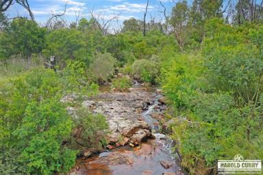 Residential Block For Sale - NSW - Tenterfield - 2372 - 2.25ha with Creek.....  (Image 2)