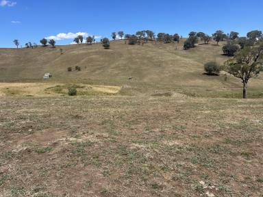 Lifestyle For Sale - VIC - Bethanga - 3691 - Prime Position Lifestyle Block With Magnificent Valley Views Down To Lake Hume  (Image 2)