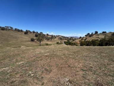 Lifestyle For Sale - VIC - Bethanga - 3691 - Prime Position Lifestyle Block With Magnificent Valley Views Down To Lake Hume  (Image 2)