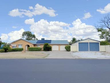 House For Sale - NSW - Moree - 2400 - LARGE BRICK FAMILY HOME IN AMAROO  (Image 2)