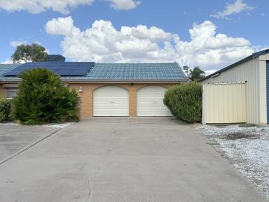 House For Sale - NSW - Moree - 2400 - LARGE BRICK FAMILY HOME IN AMAROO  (Image 2)