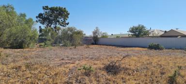 Residential Block For Sale - SA - Port Augusta - 5700 - One for the Investors!  (Image 2)