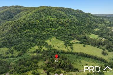 House For Sale - NSW - Nimbin - 2480 - Idyllic Dual-Dwelling Retreat on 2 Acres - Endless Potential!  (Image 2)