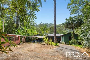 House For Sale - NSW - Nimbin - 2480 - Idyllic Dual-Dwelling Retreat on 2 Acres - Endless Potential!  (Image 2)