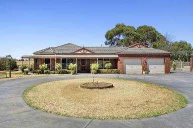 Farmlet For Sale - VIC - Cororooke - 3254 - Escape to the Country  (Image 2)