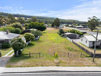 Residential Block For Sale - TAS - Railton - 7305 - Over 3000m2 of Prime Railton Land  (Image 2)