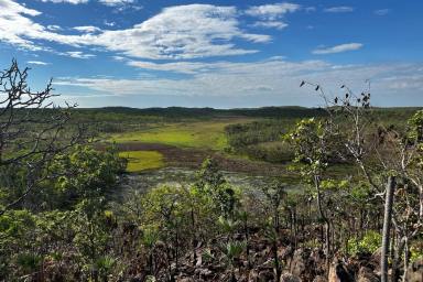 Residential Block For Sale - NT - Darwin River - 0841 - 320 Acres awaiting a new owner!  (Image 2)