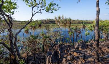 Residential Block For Sale - NT - Darwin River - 0841 - 320 Acres awaiting a new owner!  (Image 2)