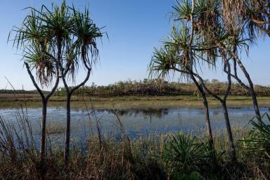 Residential Block For Sale - NT - Darwin River - 0841 - 320 Acres awaiting a new owner!  (Image 2)