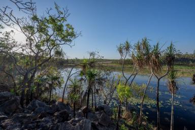 Residential Block For Sale - NT - Darwin River - 0841 - 320 Acres awaiting a new owner!  (Image 2)