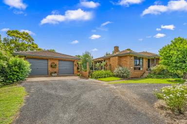 Lifestyle For Sale - NSW - Glendon Brook - 2330 - "Spring Rose" 16.21Ha (40 acres) ...Rural Lifestyle Opportunity!  (Image 2)