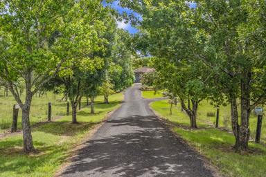 Lifestyle For Sale - NSW - Glendon Brook - 2330 - "Spring Rose" 16.21Ha (40 acres) ...Rural Lifestyle Opportunity!  (Image 2)