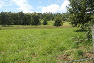 Residential Block For Sale - NSW - Tabulam - 2469 - TRANQUIL RURAL VIEWS - 3 BLOCKS AVAILABLE  (Image 2)