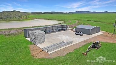 Horticulture For Sale - QLD - Dimbulah - 4872 - LARGE SCALE FARMING VENTURE  (Image 2)