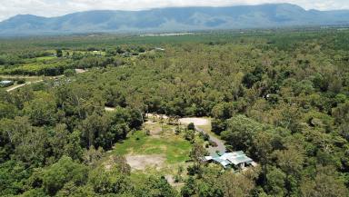 Residential Block For Sale - QLD - Kennedy - 4816 - Weekender sheds with power and water connected, creek frontage & rainforest  (Image 2)