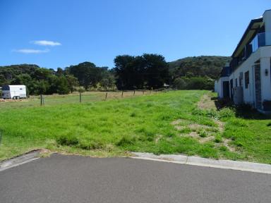 Residential Block For Sale - VIC - Apollo Bay - 3233 - Tucked away from it all  (Image 2)