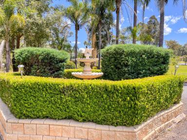 Acreage/Semi-rural For Sale - NSW - Taree - 2430 - Owner Needs To Sell!  (Image 2)