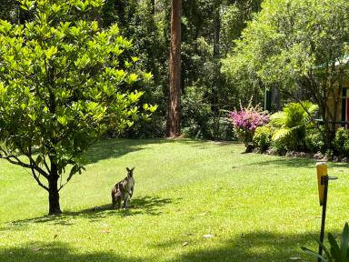 Acreage/Semi-rural For Sale - NSW - Taree - 2430 - Nature Meets Luxury: Expansive Family Home on Peaceful Acreage  (Image 2)