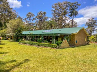 Acreage/Semi-rural For Sale - NSW - Taree - 2430 - Nature Meets Luxury: Expansive Family Home on Peaceful Acreage  (Image 2)