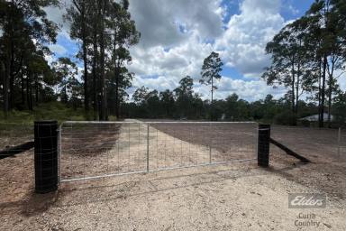 Residential Block For Sale - QLD - Glenwood - 4570 - PRIME LAND - CLEARED & READY TO BUILD!  (Image 2)