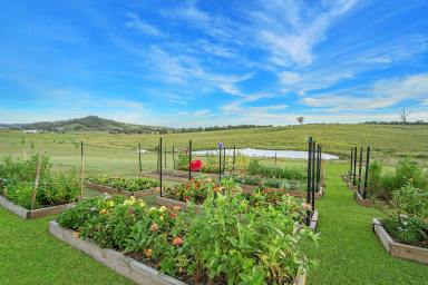 Acreage/Semi-rural Auction - NSW - Dungog - 2420 - Modern Country Retreat with Endless Opportunities  (Image 2)