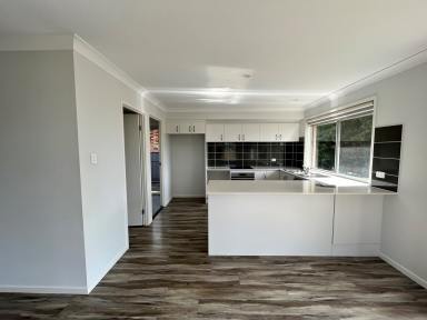 House For Lease - NSW - South Grafton - 2460 - LARGE MODERN LOW SET FAMILY HOME  (Image 2)