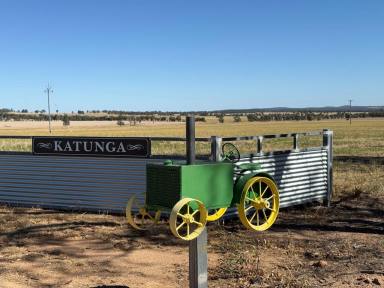 Cropping For Sale - NSW - Trungley Hall - 2666 - Turnkey Farming Operation Ready To Roll In 2025  (Image 2)