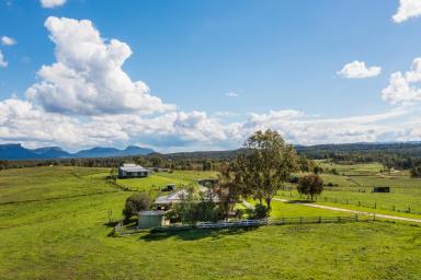 Lifestyle For Sale - NSW - Bogee - 2849 - Exceptional 43-Hectare Property in the Tranquil Capertee Valley  (Image 2)